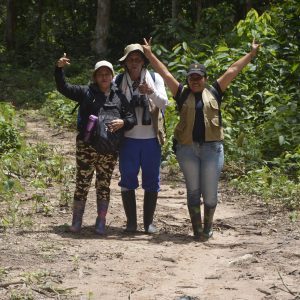 Convierta su finca en un destino turístico de éxito