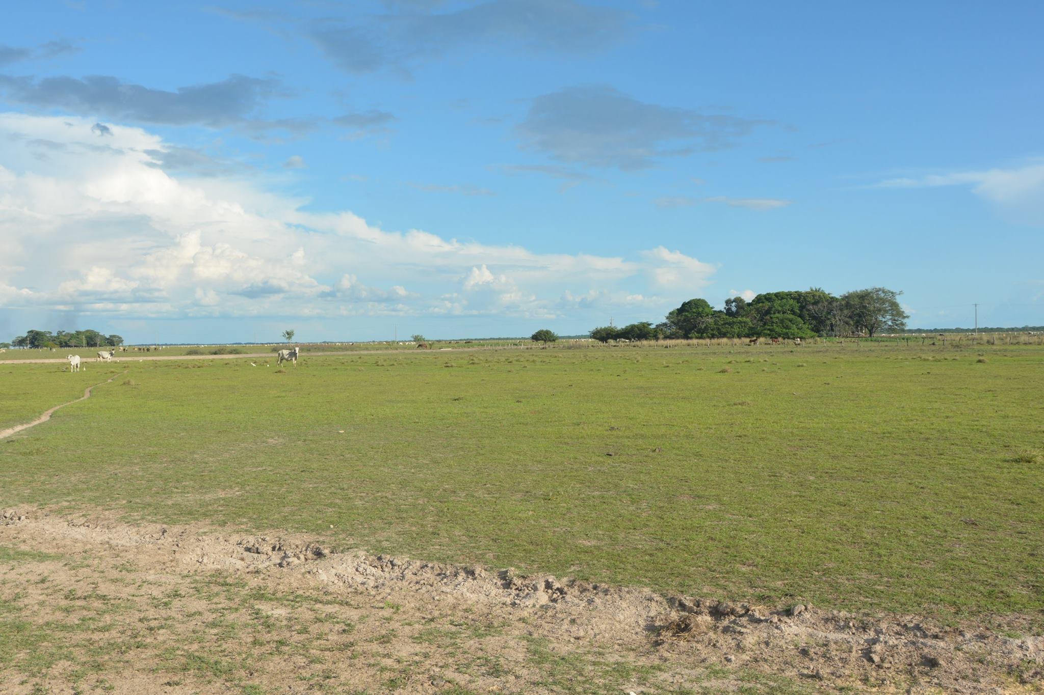 Viviendo un Día en los Llanos