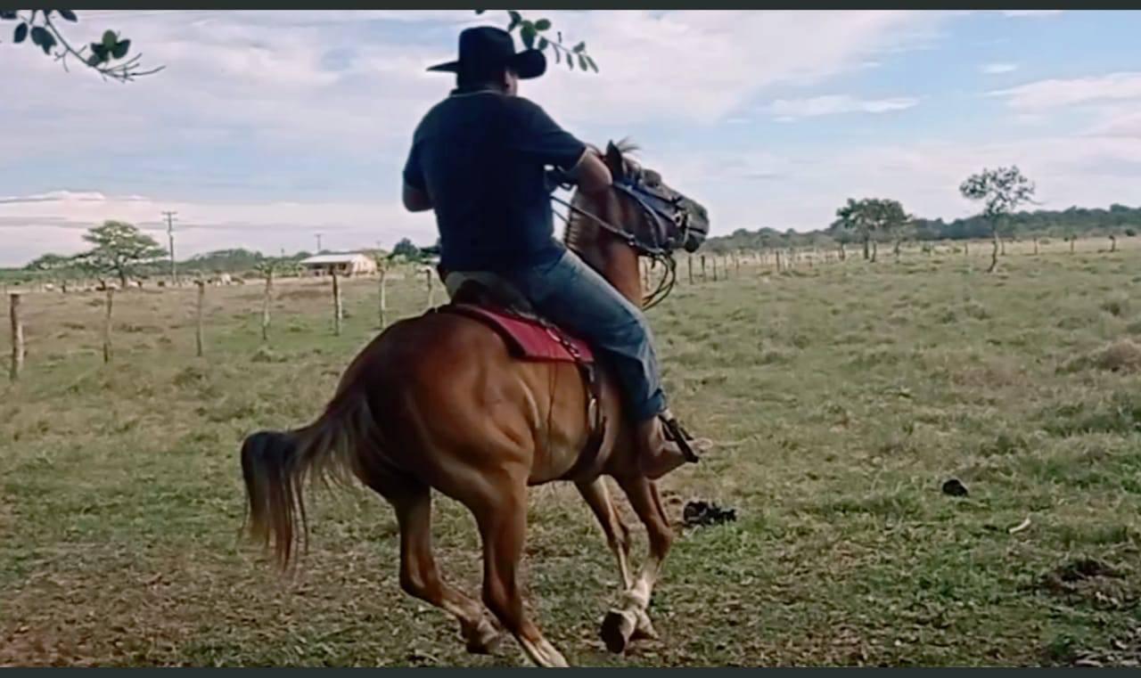 Vive un Día en los Llanos
