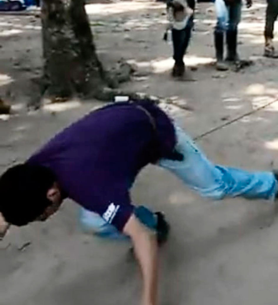 El Morrocoy: Una Tradición Llanera que Vale la Pena Descubrir