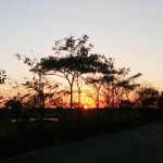 Diseño-sin-título-(18)