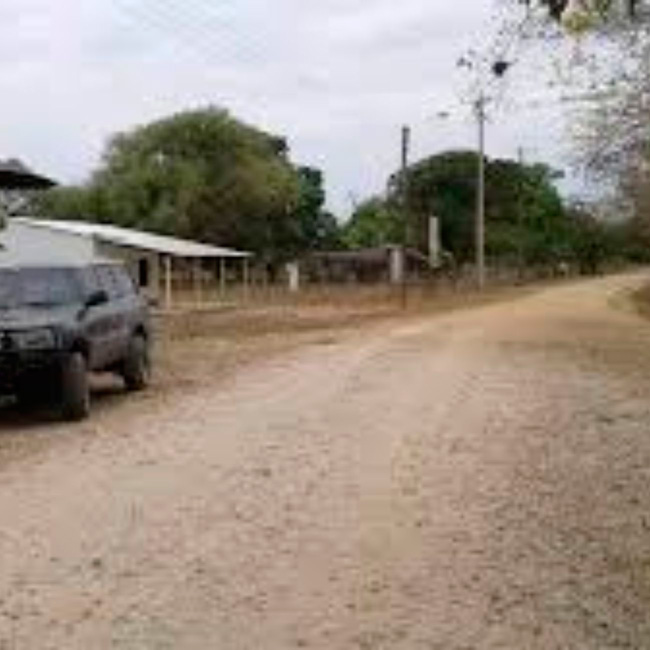 Caracol, cuna del joropo, está de fiesta