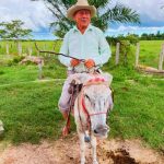 Comprimida-Francisco-Parales