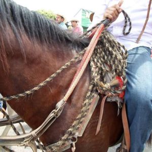 Capitulo 1. Revisando el Chiquero de los Becerros y Encerrando a las Vacas