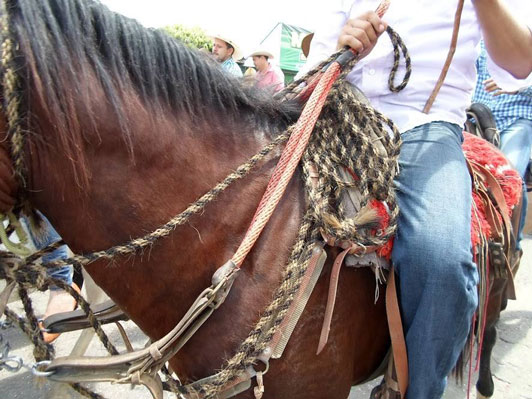 Capitulo 1. Revisando el Chiquero de los Becerros y Encerrando a las Vacas