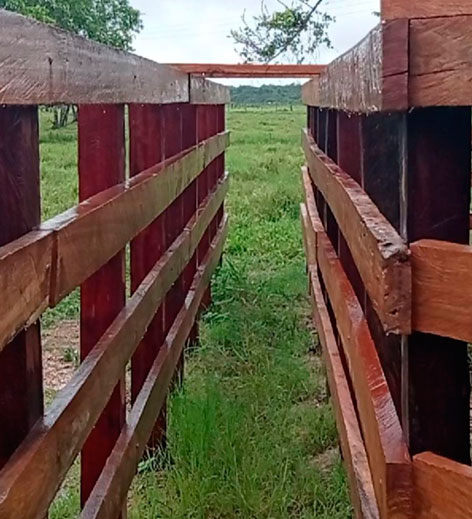 Super Pack Audiovisual Llanero – 80+ Videos Auténticos de los Llanos - Imagen 3