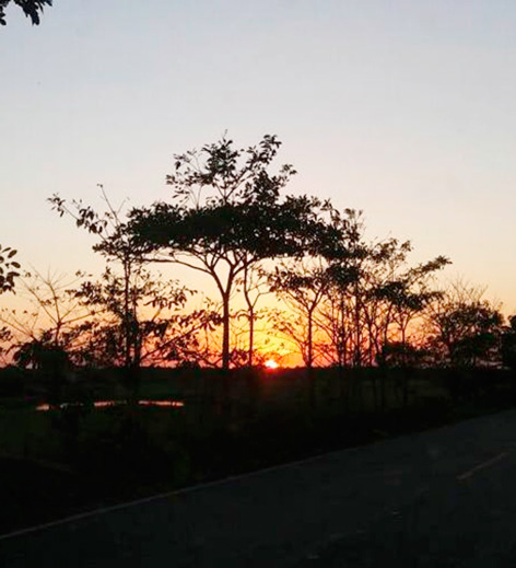 Capitulo No. 2 El Ordeño - Imagen 2