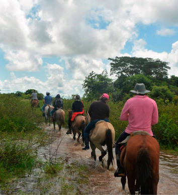 Super Pack Audiovisual Llanero – 80+ Videos Auténticos de los Llanos - Imagen 2