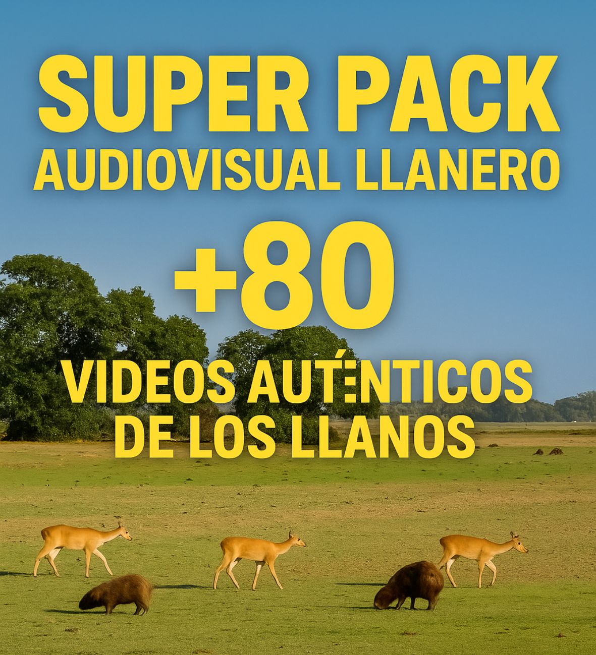 Super Pack Audiovisual Llanero – 80+ Videos Auténticos de los Llanos